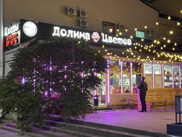 ул. Большая Садовая 103