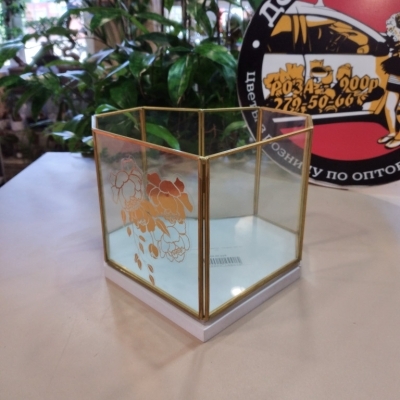 Флорариумы и поддоны