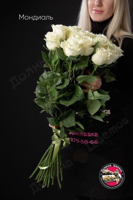 Розы Мондиаль  (высота  70см)