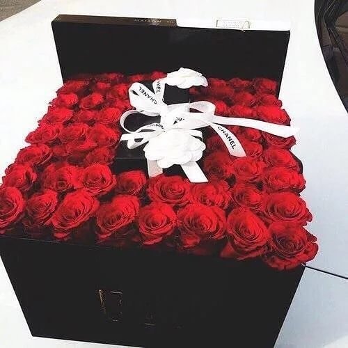 51 Роза.Высота 40см. Коробка квадратная