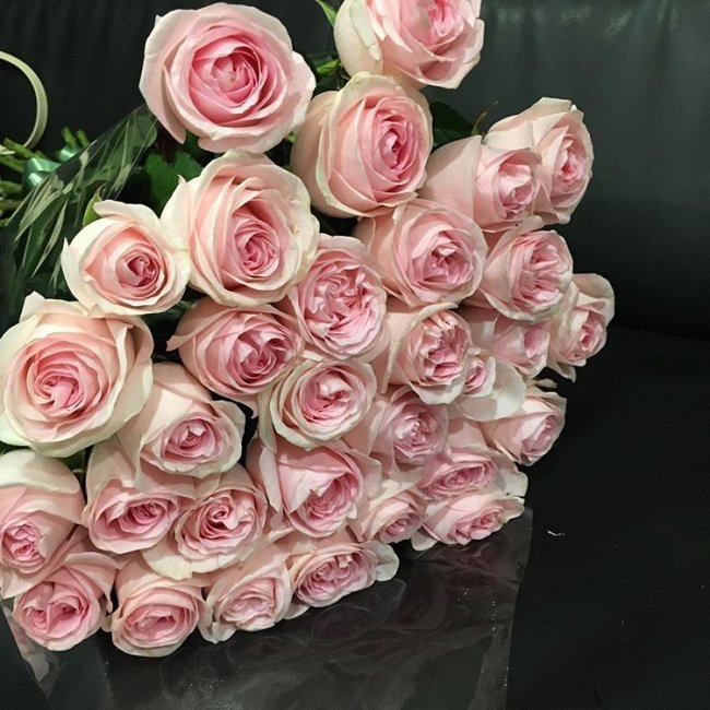 Роза Свит Ревиваль. Букет из 35 роз. Высота 70 см