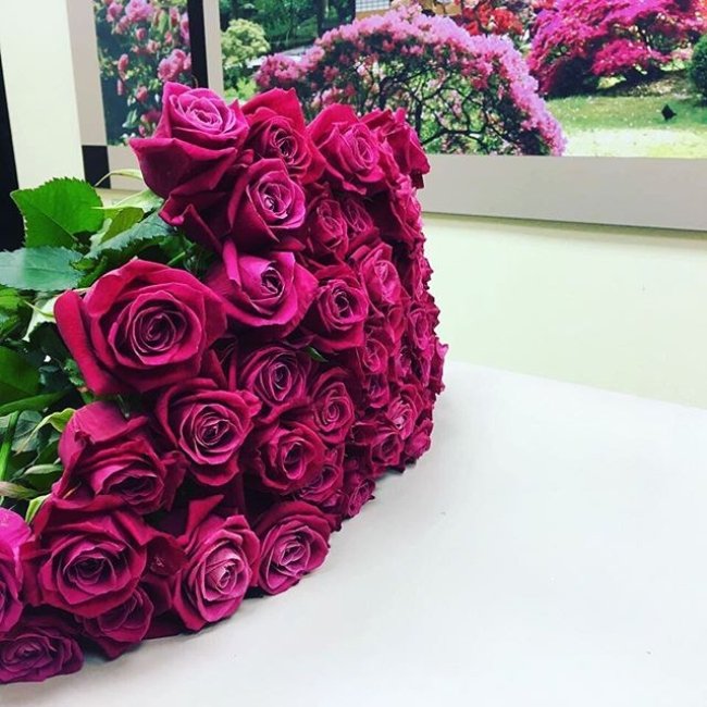 Роза Шангри Ла (розовая). Букет из 41 розы. Высота 60 см