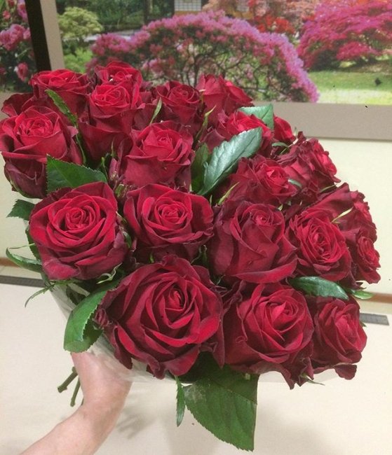 Роза Кон Аморе. Букет из 75 роз. Высота 50 см