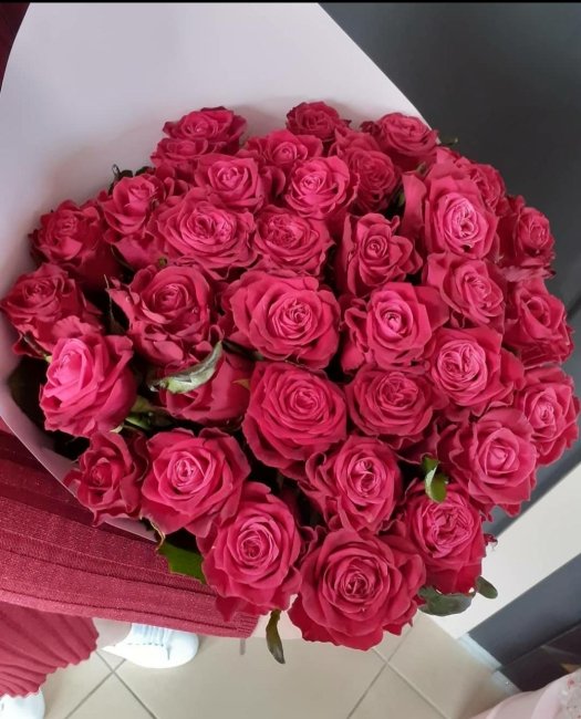 Роза Адмирал. Букет из 51 розы. Высота 60 см