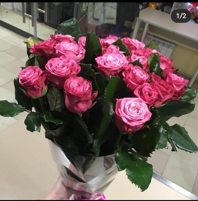 Роза Дип Вотер. Букет из 21 розы. Высота 60 см