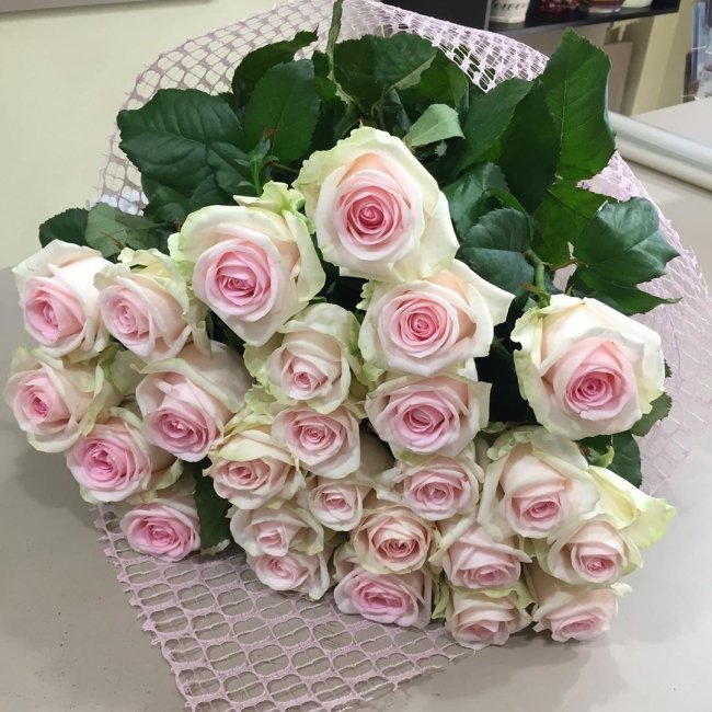 Роза Свит Ревиваль. Букет из 25 роз. Высота 70 см