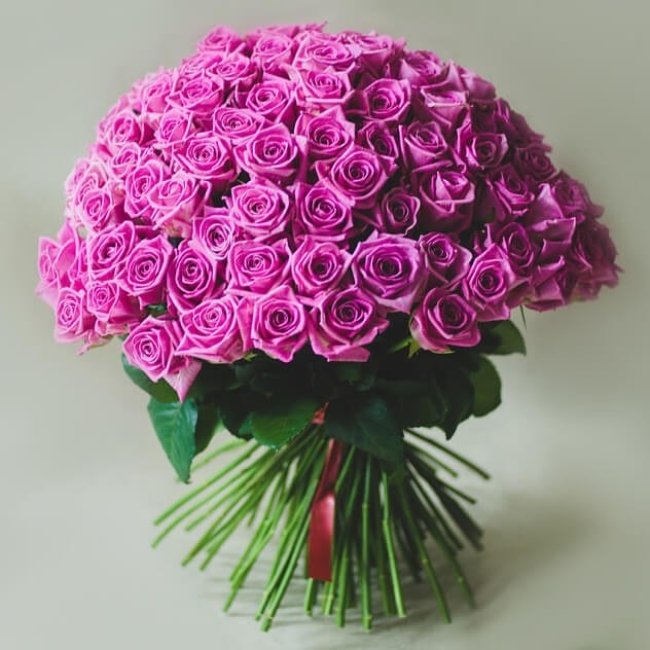 Роза Аква (розовая). Букет из 75 роз. Высота 50 см