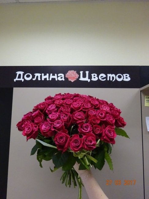 Роза Шангри Ла (розовая). Букет из 25 роз. Высота 70 см