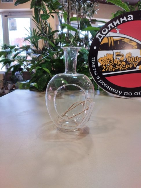 Флорариум «Бутылка»: 9*16 см