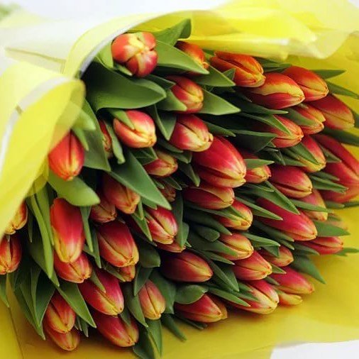 Букет из 75 тюльпанов. красно-желтый
