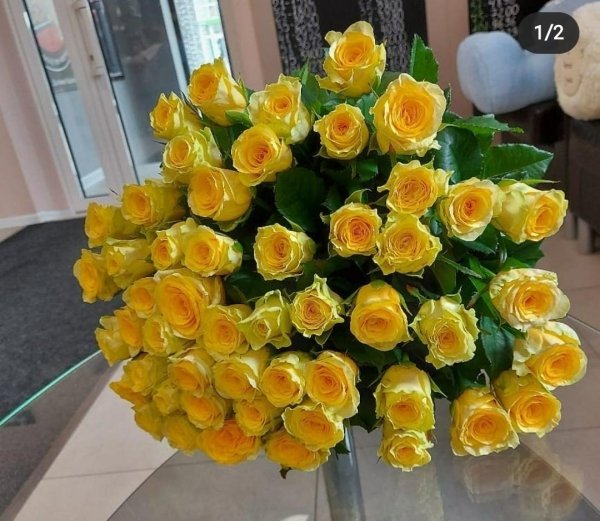 Роза Илиос (желтая). Букет из 75 роз. Высота 60 см