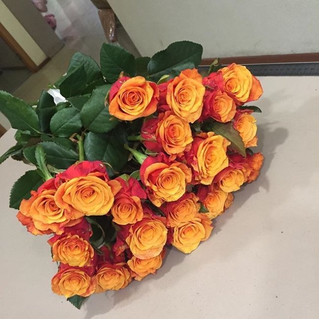 Роза Испания. Букет из 21 розы. Высота 50 см