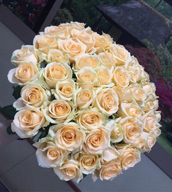 Роза Пич-Аваланж (персиковая). Букет из 75 роз. Высота 60 см