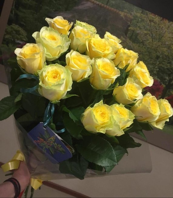Роза Илиос (желтая). Букет из 21 розы. Высота 70 см