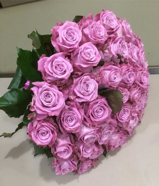 Роза Маритим. Букет из 75 роз. Высота 40 см