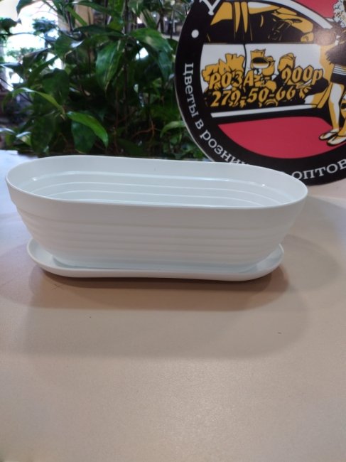 Горшок цвет. «Алиса» для кактусов 0,9 л, белый