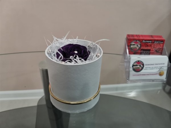 Роза фиолетовая в круглой коробке